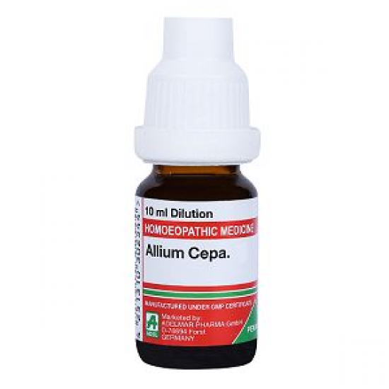 ALLIUM CEPA