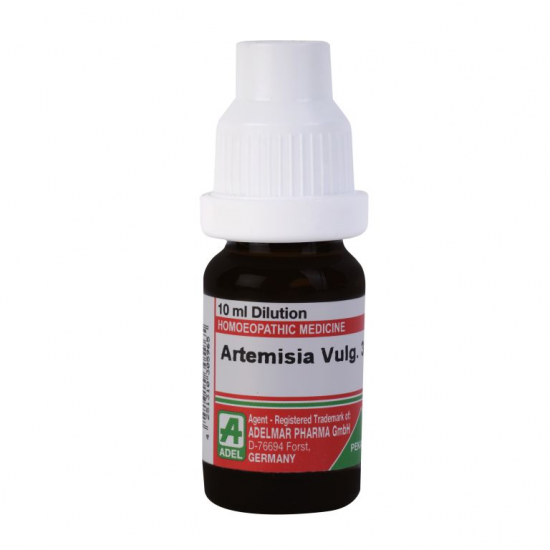 ARTIMISIA VULGARIS