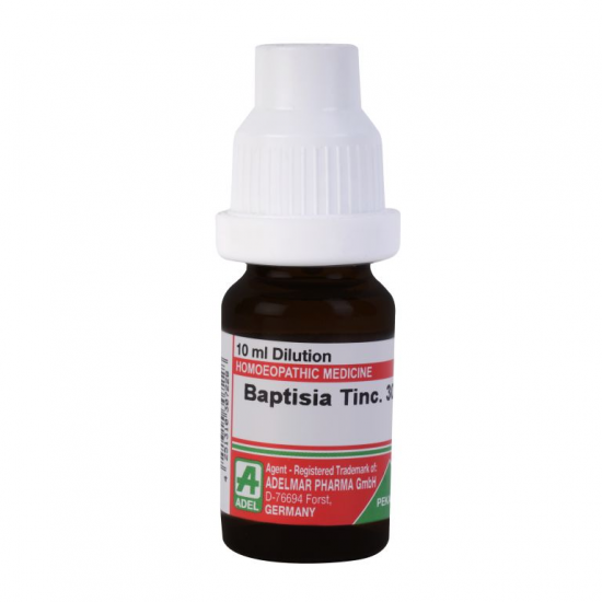 ADEL BAPTISIA.