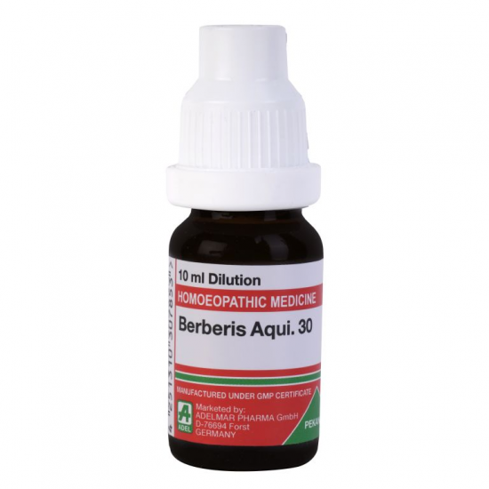 ADEL BERBERS AQUIFOLIUM 