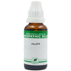New Life Jalapa (30ml)