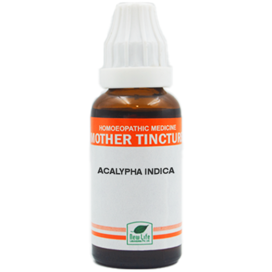 New Life Acalypha Indica