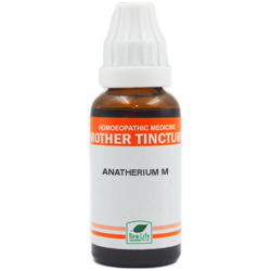 New Life Anatherium M