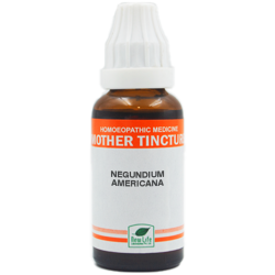 New Life Negundium Am