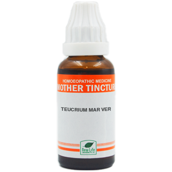New Life Teucrium Mar.Ver.