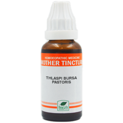 New Life Thlaspi Bur.Pas.