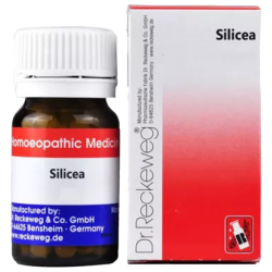 Dr Reckeweg Silicea Dr Reckeweg Silicea