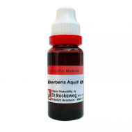DR. RECKEWEG BERBERIS AQUIFOLIUM Q DR. RECKEWEG BERBERIS AQUIFOLIUM Q