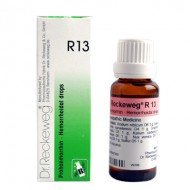 Dr. Reckeweg R13 (Prohaemorrin) Dr. Reckeweg R13 (Prohaemorrin)