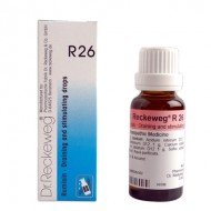 Dr. Reckeweg R26 (Remisin) Dr. Reckeweg R26 (Remisin)