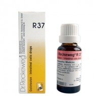 Dr. Reckeweg R37 (Colinteston) Dr. Reckeweg R37 (Colinteston)