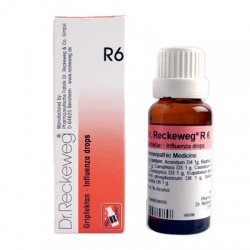 Dr. Reckeweg R6 (Gripfektan) Dr. Reckeweg R6 (Gripfektan)
