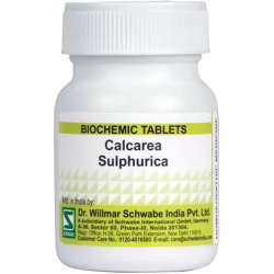 Willmar Schwabe India Calcarea Sulphurica 3X