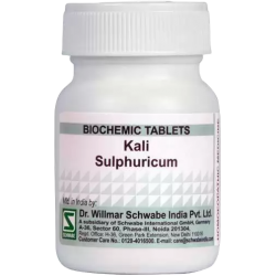 Willmar Schwabe India Kali Sulphuricum 3X