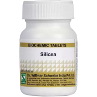 Willmar Schwabe India Silicea 3X
