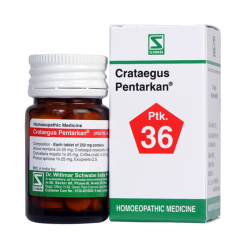 Willmar Schwabe India Crataegus Pentarkan